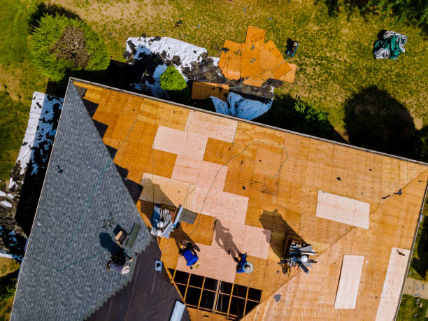 Best Roof Gutter Cleaning  in Darien, GA