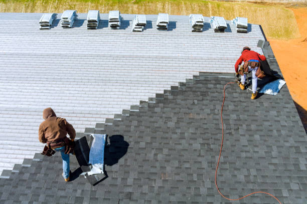 Best Roof Replacement Cost  in Darien, GA