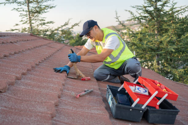 Best Roof Waterproofing Services  in Darien, GA