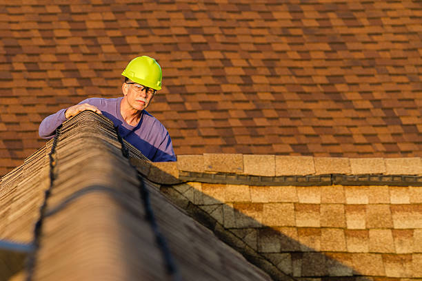 Best Sealant for Roof  in Darien, GA