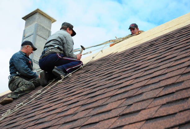 Best Storm Damage Roof Repair  in Darien, GA
