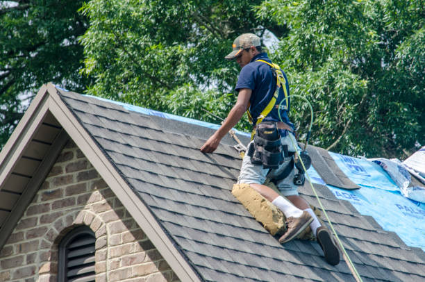Best Slate Roofing Contractor  in Darien, GA