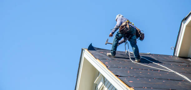 Best New Roof Installation  in Darien, GA
